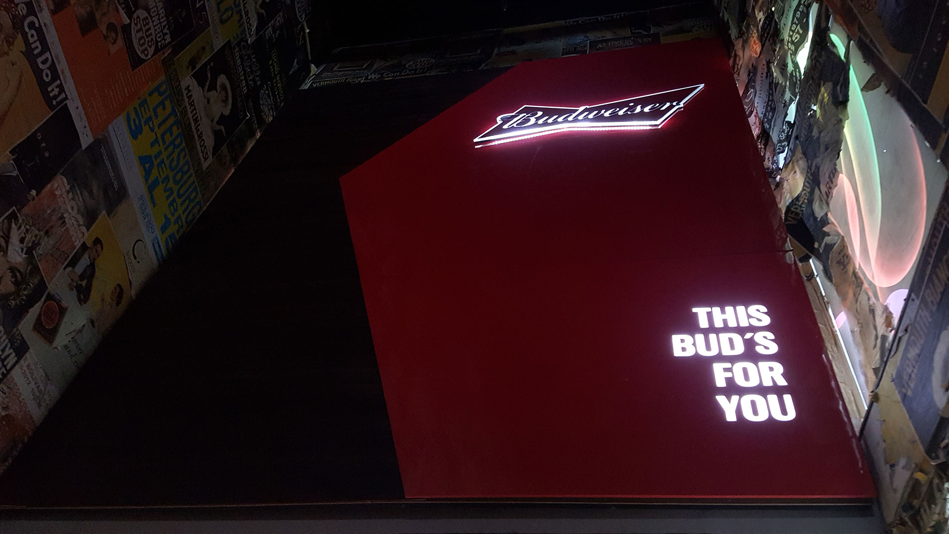 Budweiser 20 - 360 Grados